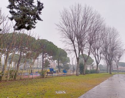 In corso il censimento di tutte le alberature del territorio comunale