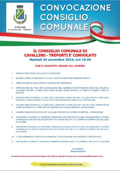 locandina consiglio