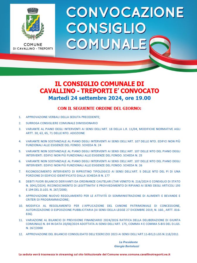 Consiglio Comunale  locandina