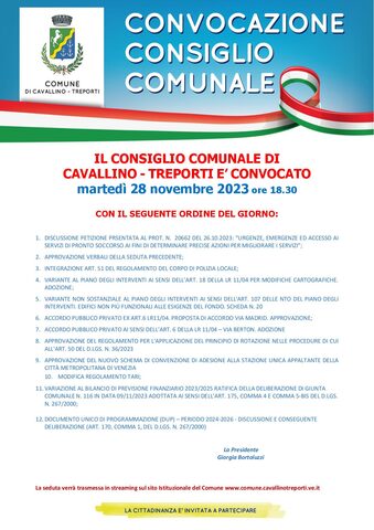 Consiglio Comunale  locandina