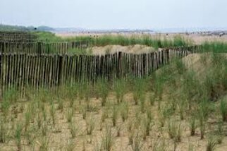 Dune di cavallino treporti