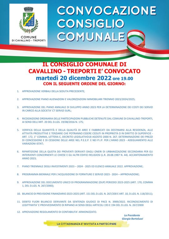 Consiglio Comunale  locandina